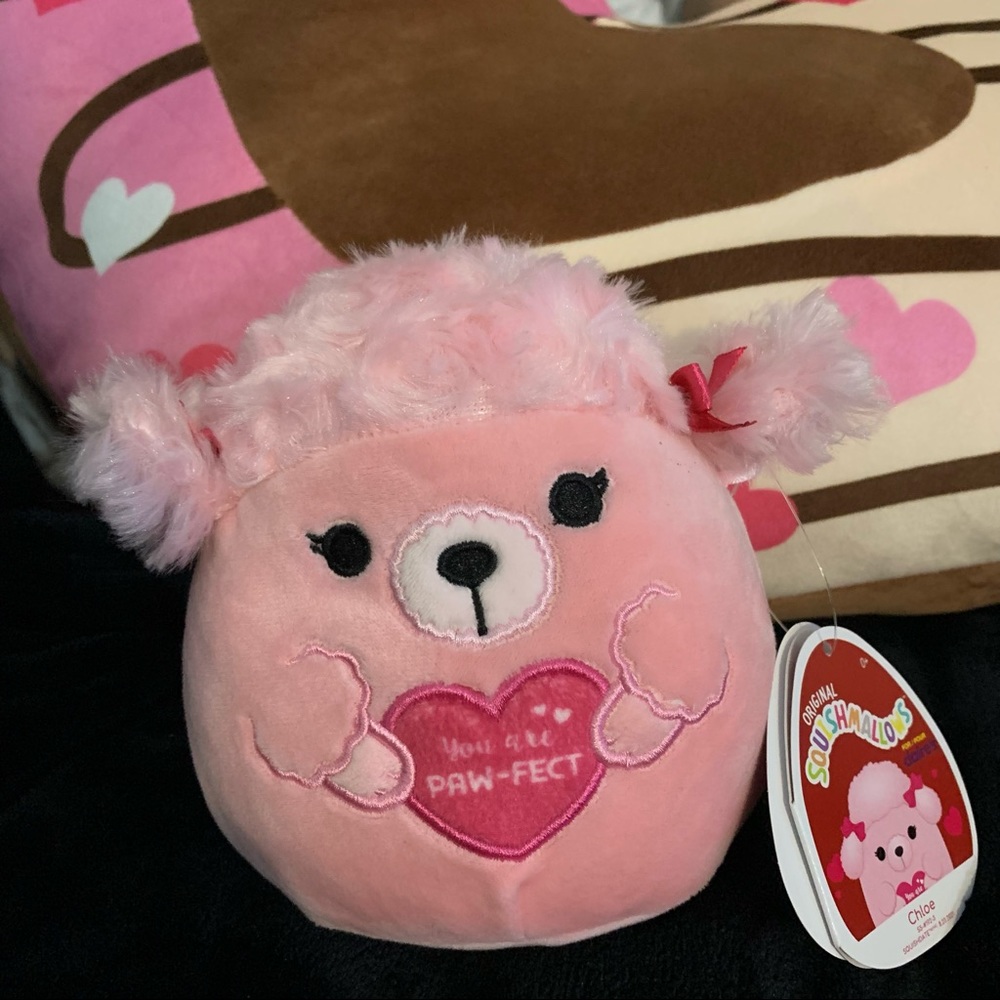 chloe squishmallow valentine’s day 2022